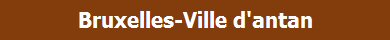 Toutes les rues de Bruxelles-Ville d'antan