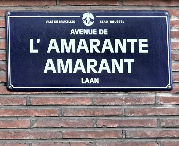 L'avenue de l'Amarante - 1020 Laeken